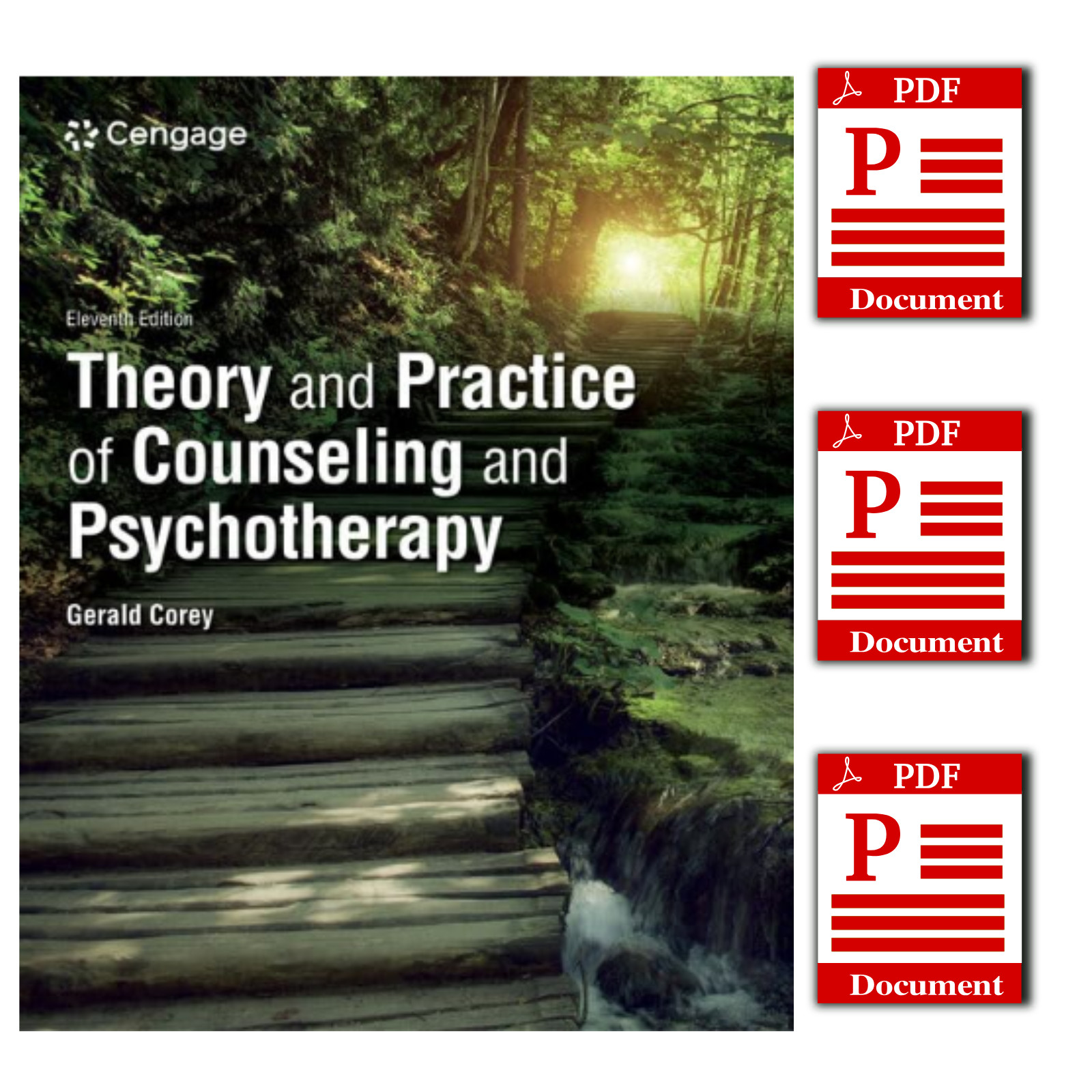 Theory and Practice of Counseling and Psychotherapy 11th Edition