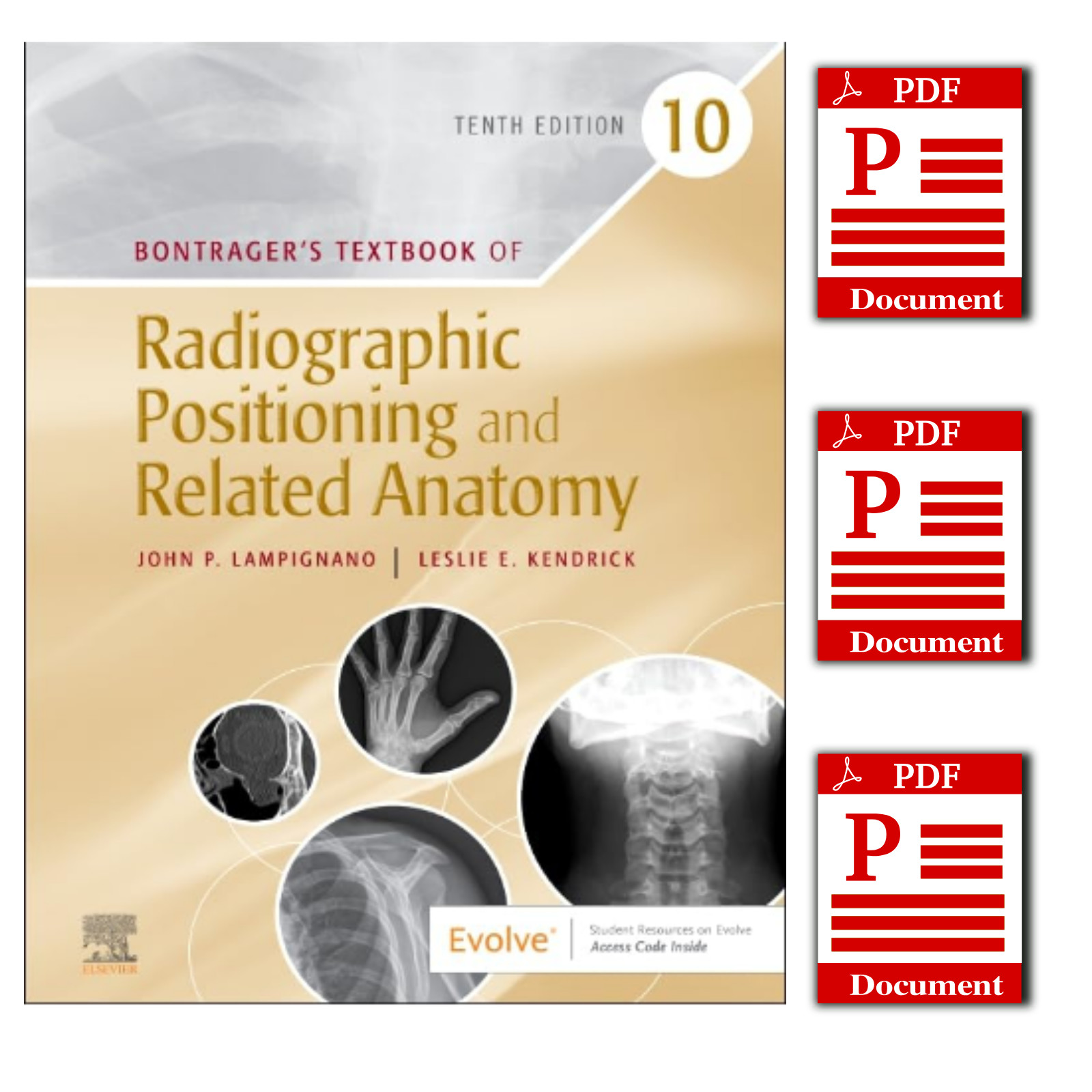 Bontrager's Textbook of Radiographic Positioning and Related Anatomy 10th Ed