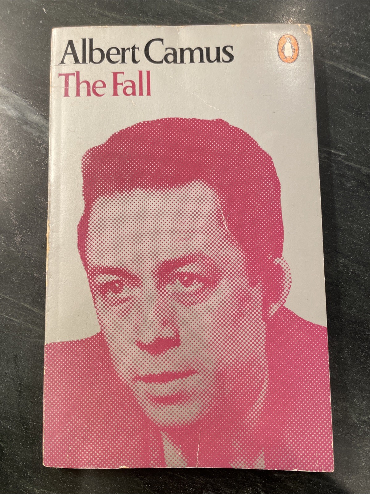 The Fall by Albert Camus 1970 UK Printed Paperback Penguin Books 1957 Translatn