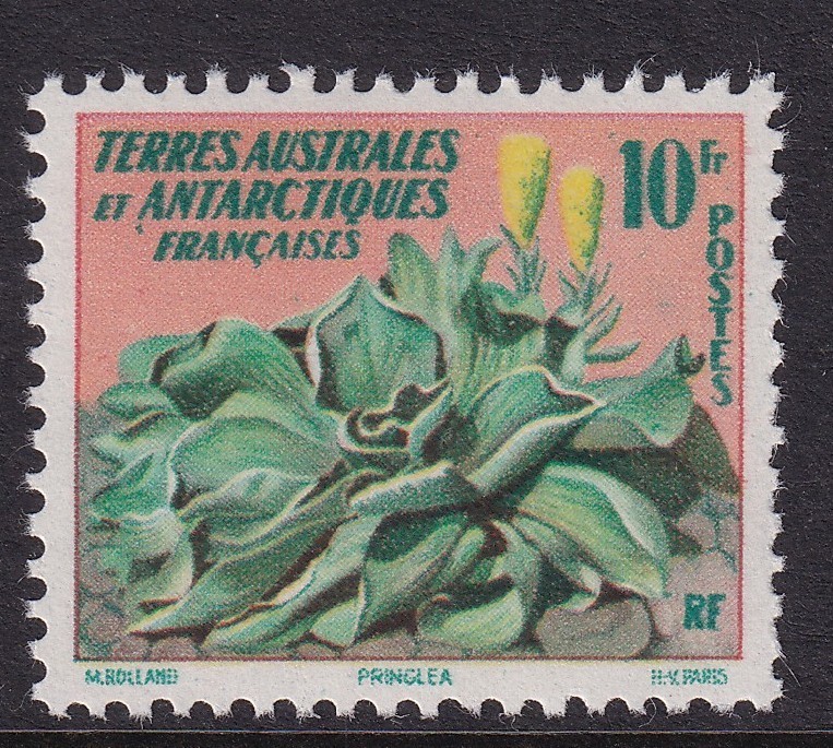 FRENCH SOUTHERN & ANTARCTIC TERRITORIES - Sg22 - 10c tropical flora - MNH