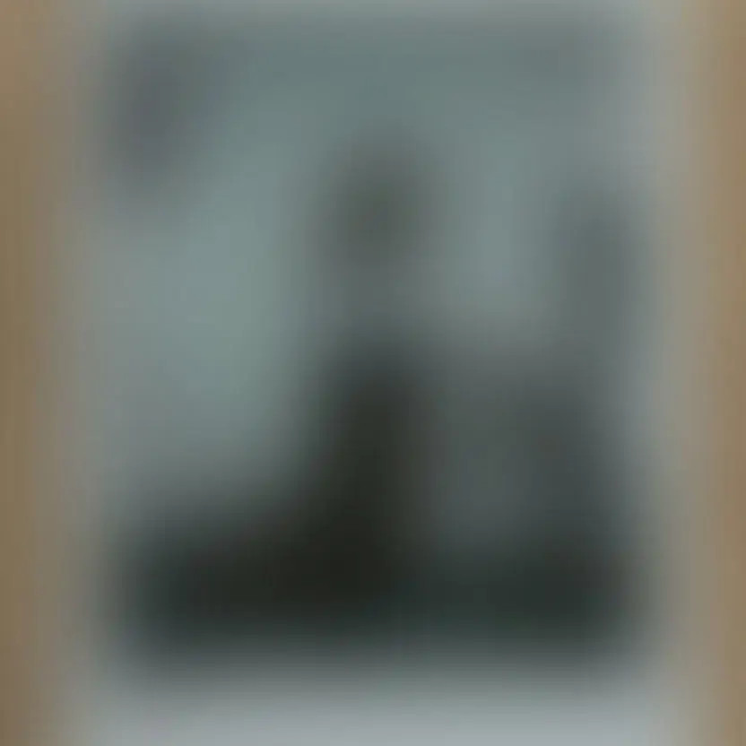 Kwon Jin Ah Polaroid Photo Autographed Fan Merchandise