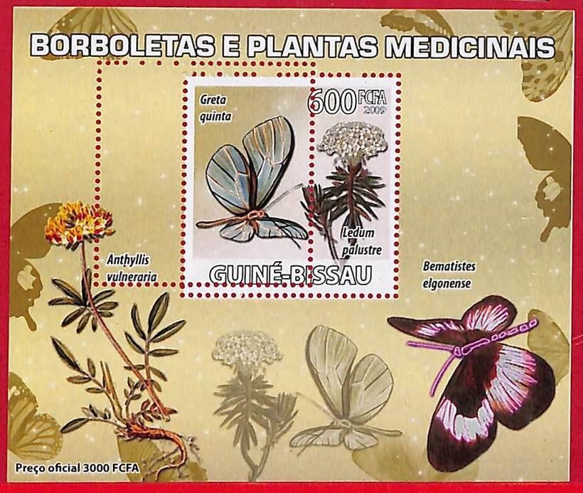 A5257 - GUINE-BISSAU - ERROR MISPERF Stamp Sheet - 2009 -Butterflies, Med.Plants