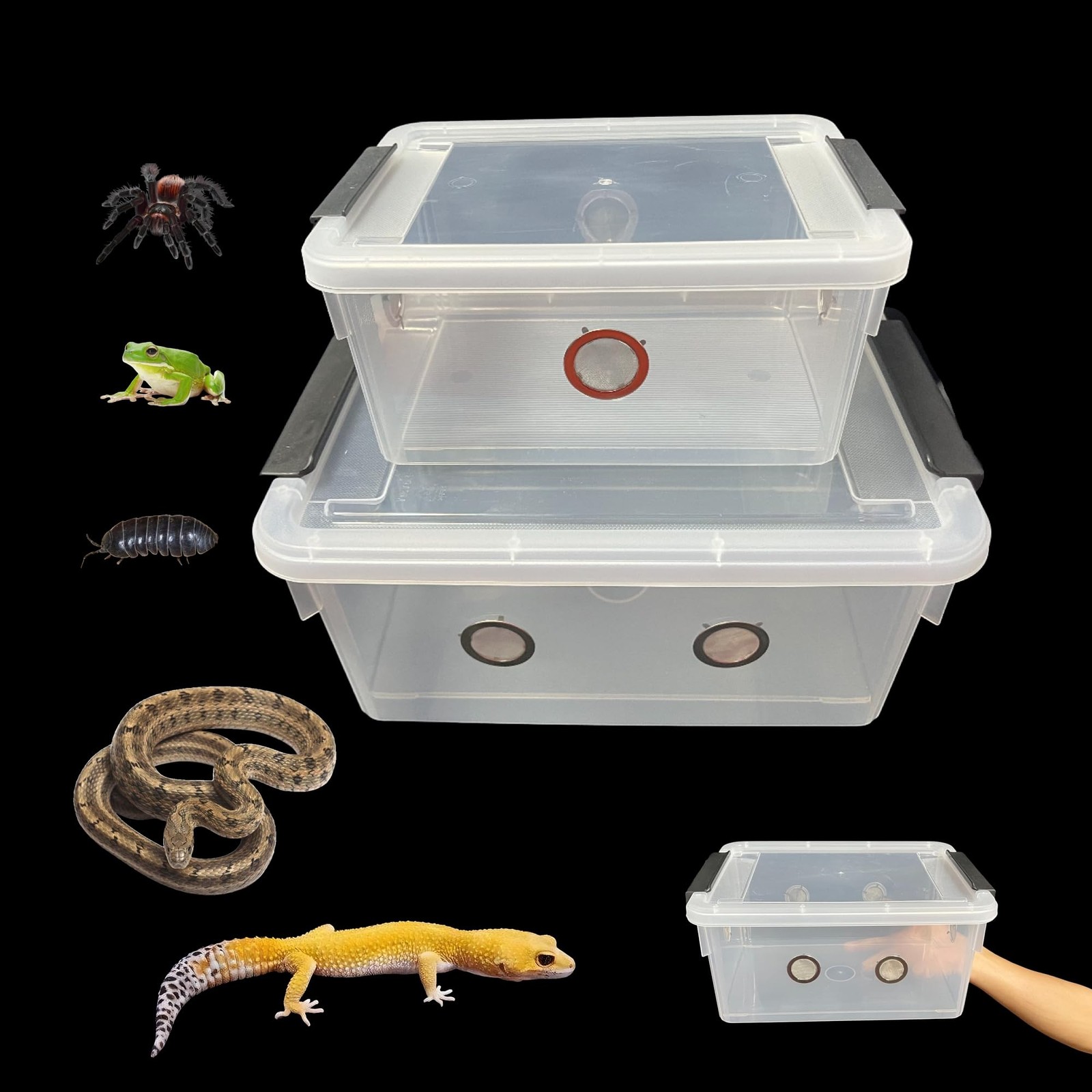 2pcs Large Reptile Feeding Box Snake Breeding Box Plastic Reptile Tank for Sl...