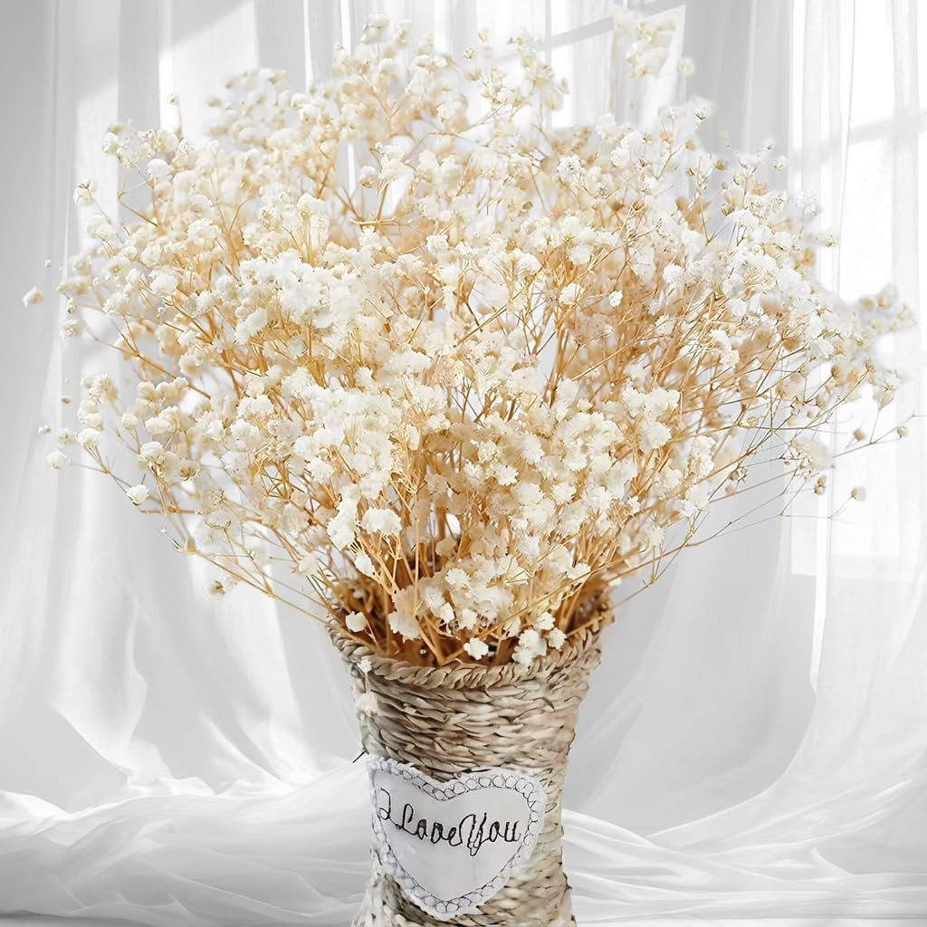 2500+ Dried Babys Breath Flowers Bulk - 17" Ivory White Dried Flower Bouquet, Re