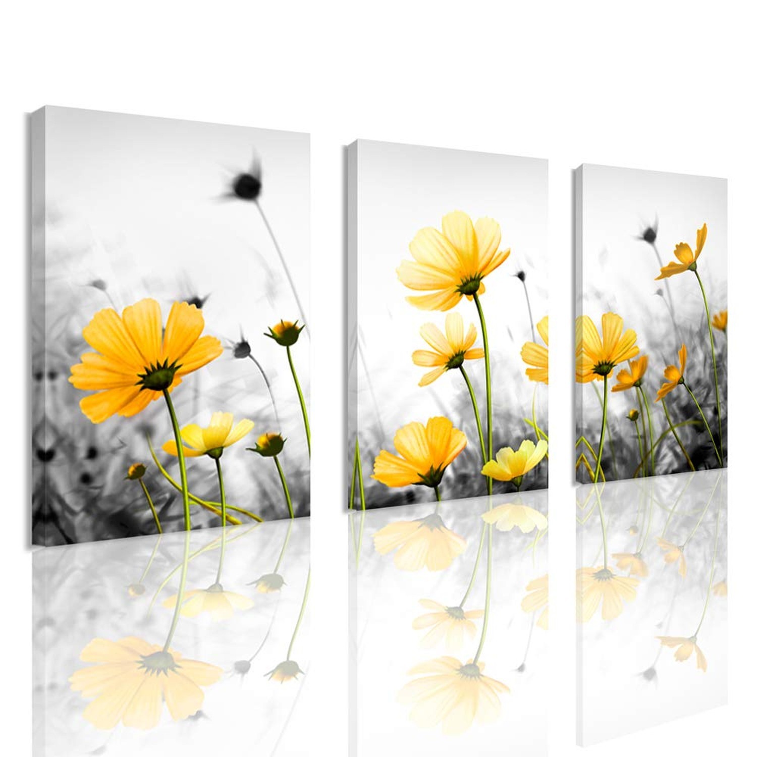 Flowers Canvas Art Wall Decor Black and White Framed Galsang Floral Prints an...
