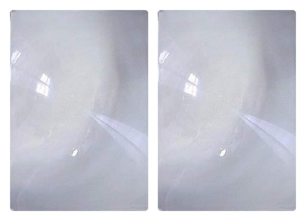 2 Pack Full Page 3X Magnifier/Plastic Magnifying 2 Count (Pack of 1), Clear 