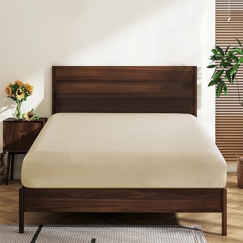 Queen Size 100% Egyptian Cotton Fitted Sheets 600 1-Pack Queen Solid-beige