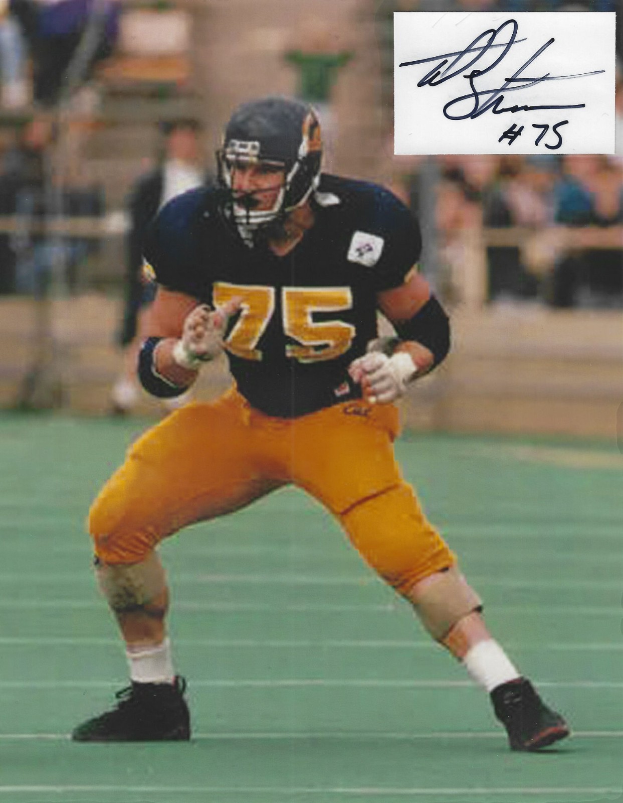 Todd Steussie Autographed Signed 8x10 Photo - NFL Vikings Panthers Rams - w/COA