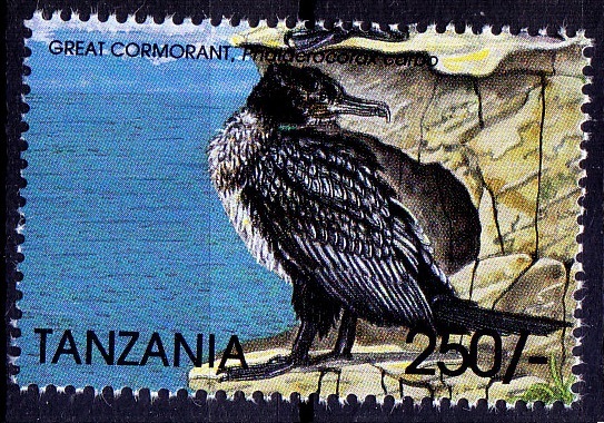 Great Comorant, Water Birds, Tanzania 1999 MNH   
