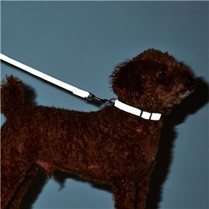 Flash Soft Collar SS Pink (Set of 3) - Dog Collar (Wholesale)