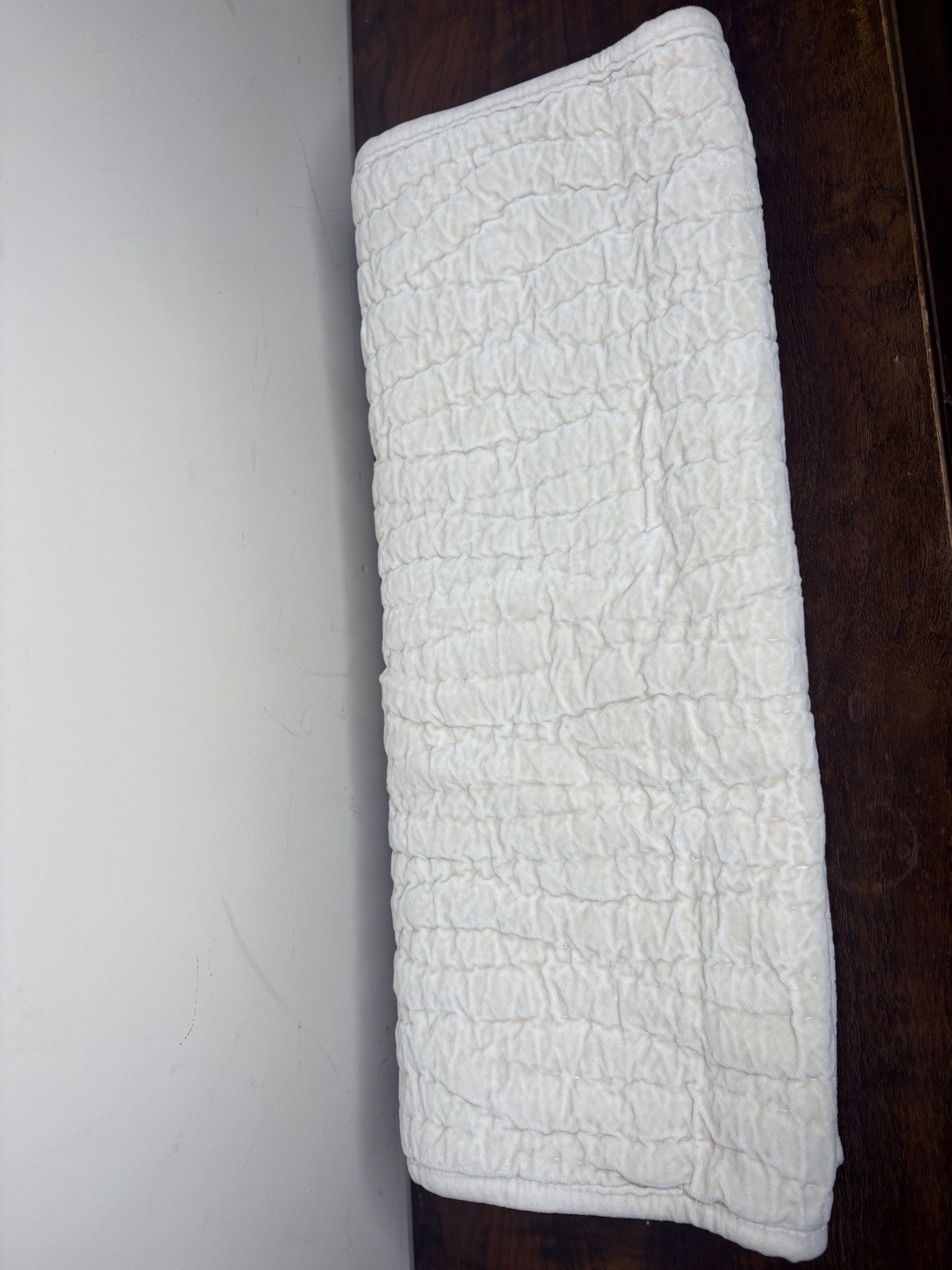 Pottery Barn Washed Velvet Handcrafted Quilted (1) King Sham - Parchment