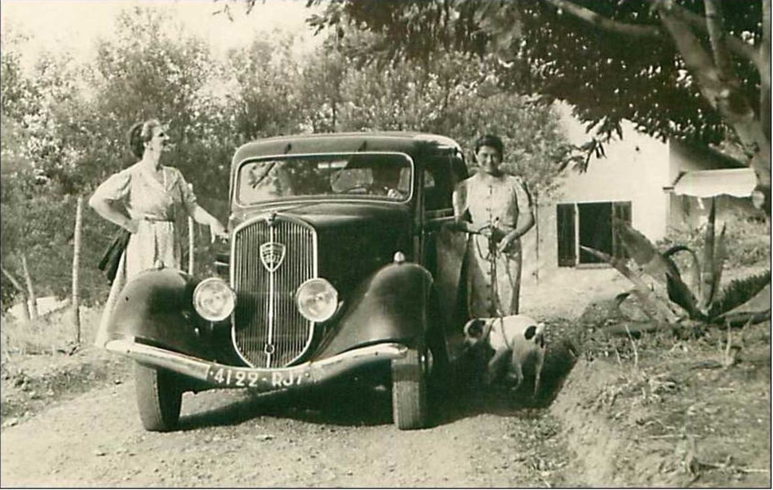 Cars No. 7456 Car Peugeot CP Photo