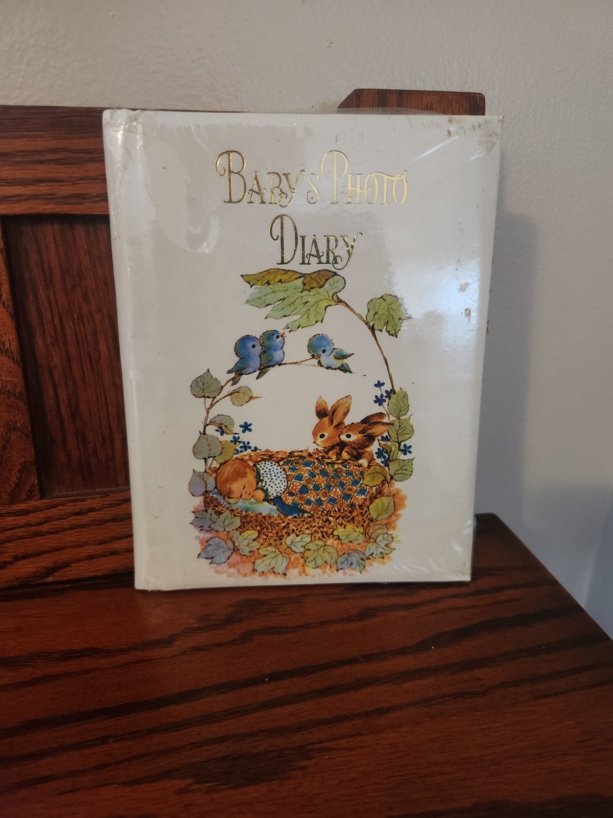 Vintage Unused Baby Photo Diary Scrapbook Baby Basket Birds Rabbits Beautiful