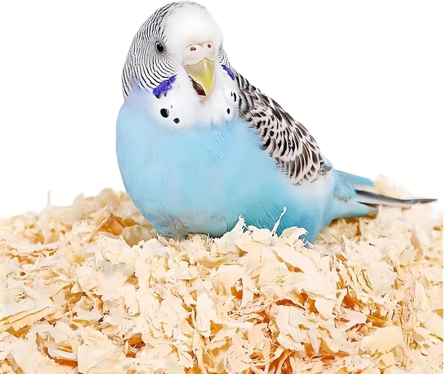 Wood Shavings for Bird Bedding - Natural Aspen Soft Low-Dust & Odor-Control Nest