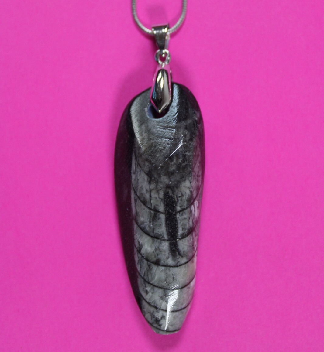 Authentic Orthoceros Necklace Fossil 500 Million Years Old Dinosaur Girl COA 54