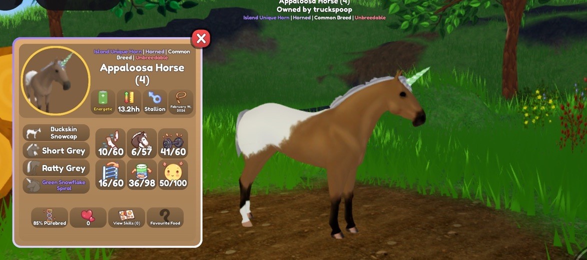 Wild horse island Quarter, Appaloosa, Paint Unique Hair, Horned