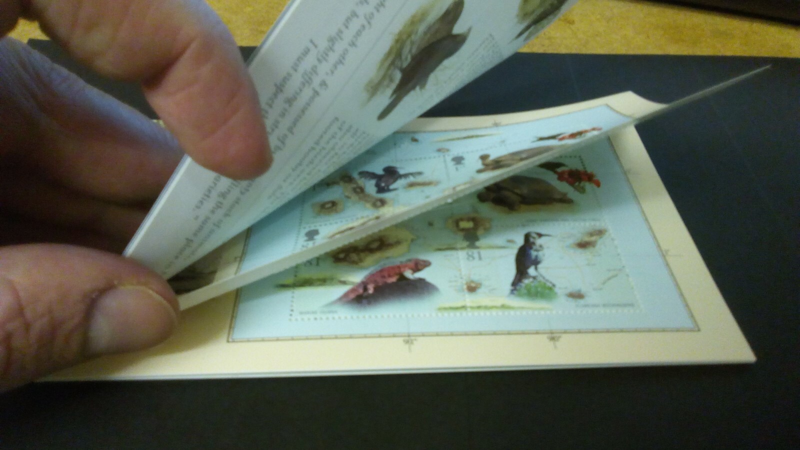 GB 2009 DX45 Charles Darwin Prestige Booklet Error Duplicated Pane 2