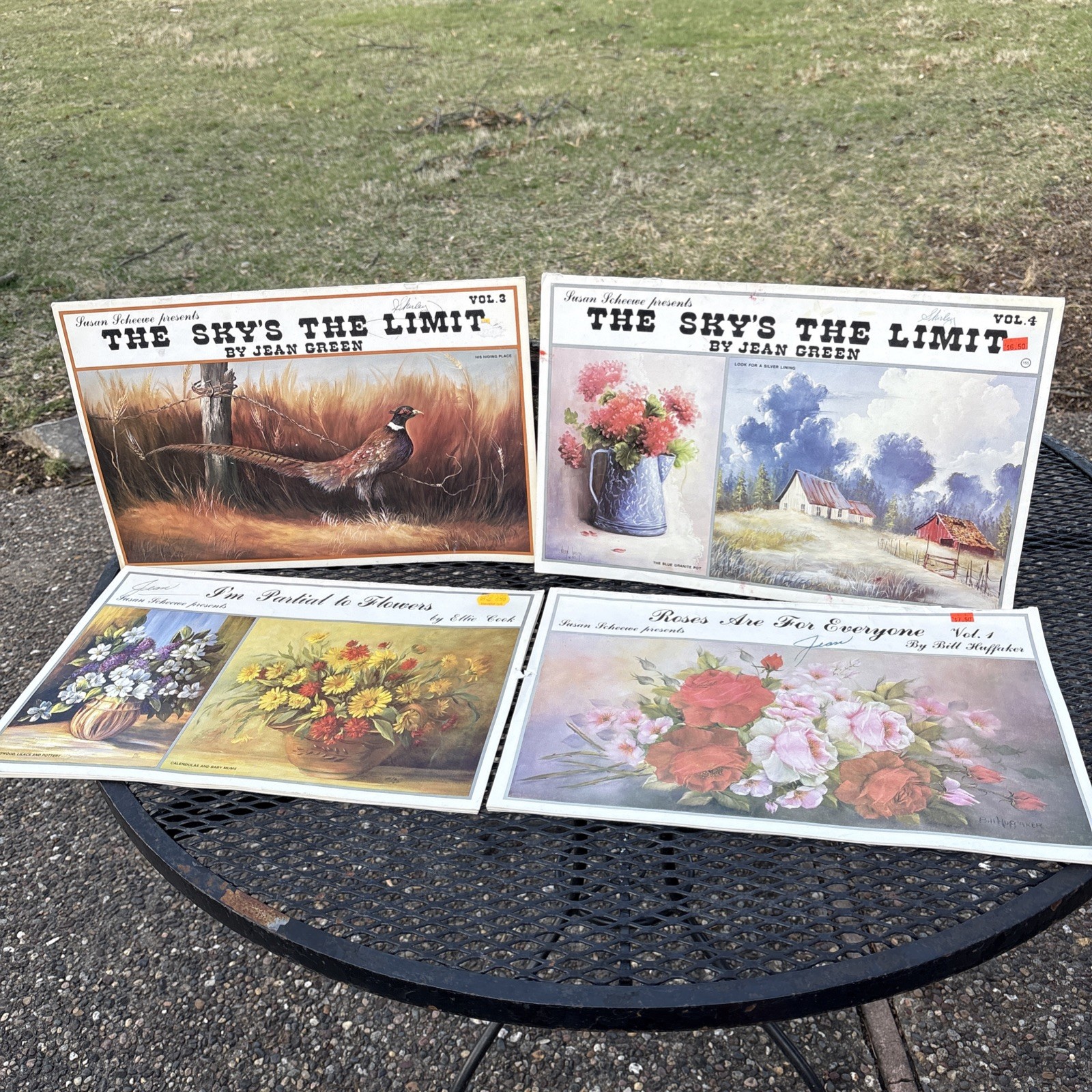 4 Susan Scheewe Painting Books, Roses, Flowers & Sky’s the Limit