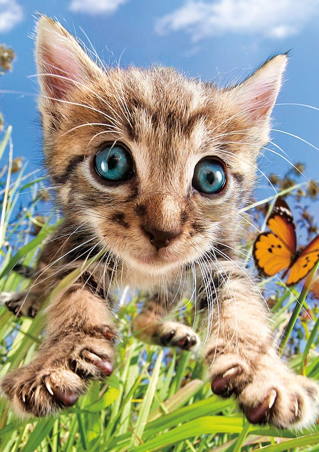 500 Piece Jigsaw Puzzle - Pounce! Multicolor, 21.25" x 15" - Fun Family Game