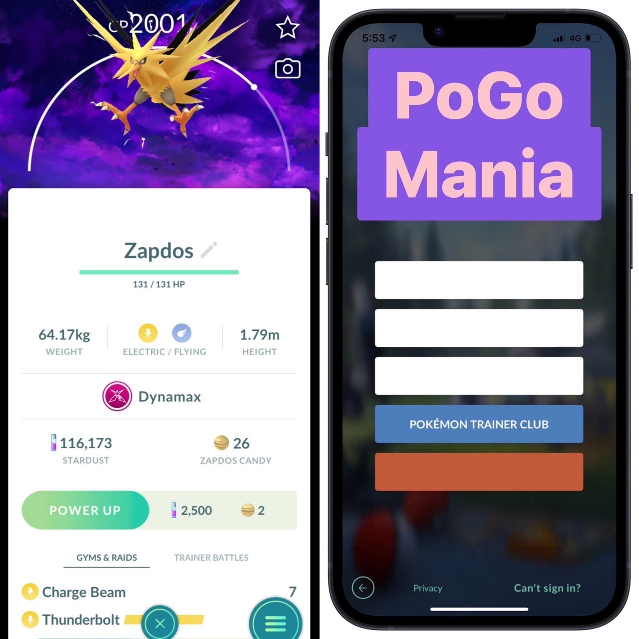 Dynamax Zapdos (NON shiny)💥Special Background💥mini PTC 20k💥