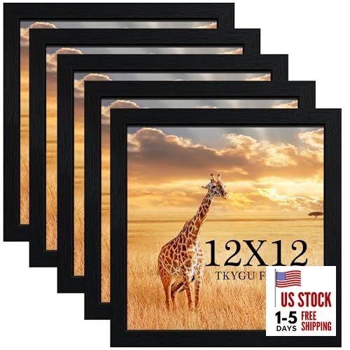 12x12 Picture Frame Set of 5 Wooden Frame 12x12 Square 12x12 (Pack of 5) Black