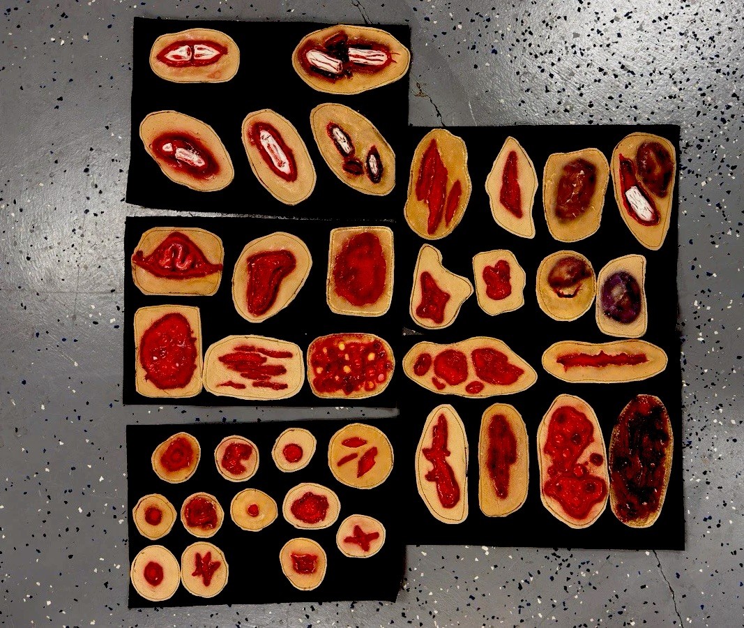 Advanced Trauma Training Systems