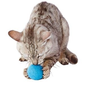 Bundle: Large Blue Wool Balls for Cats (6 Sets) - Wholesale