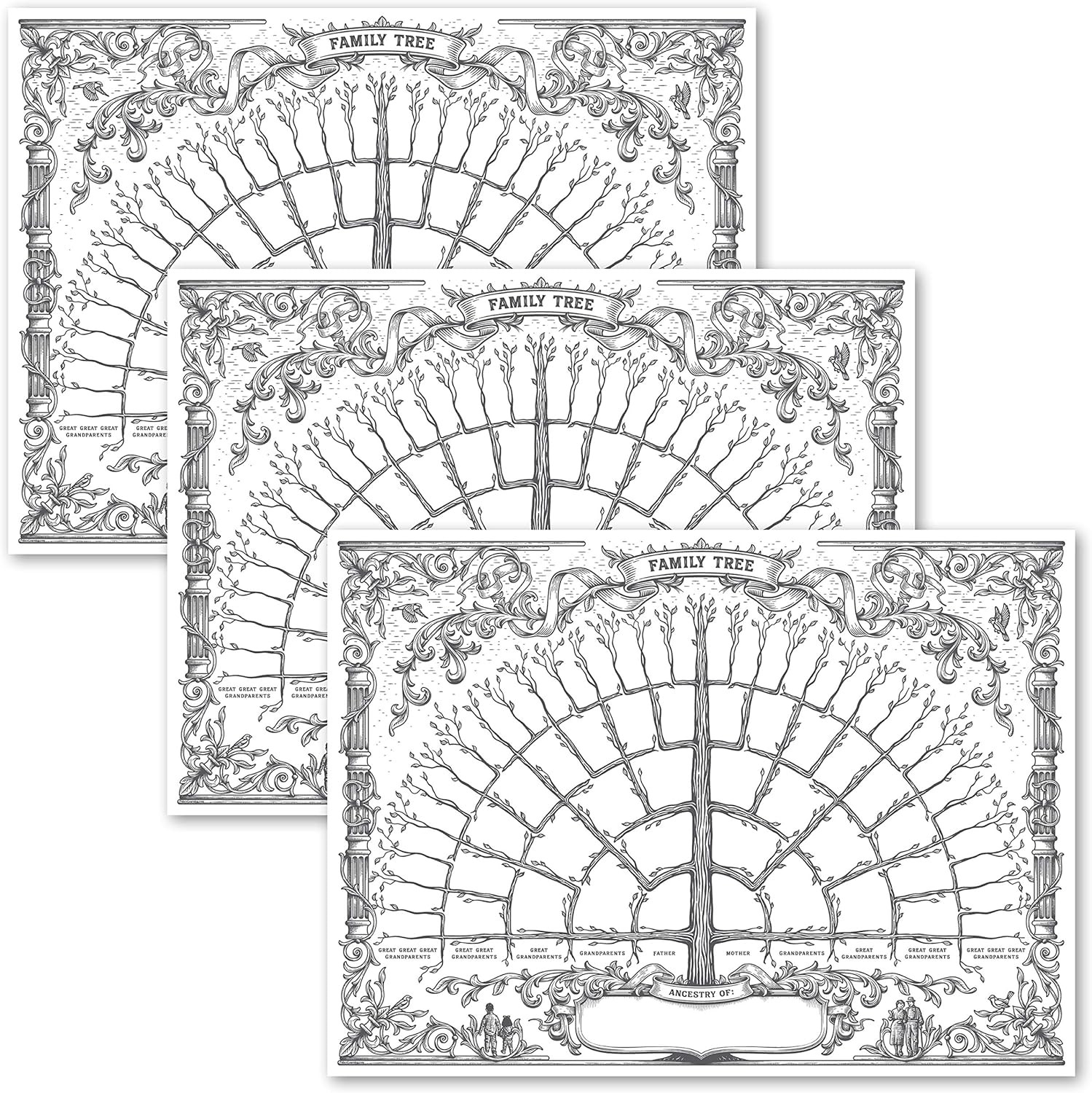 3 Pack - Family Tree Chart to Fill In- 6 Generation Genealogy Poster - Blank Fil