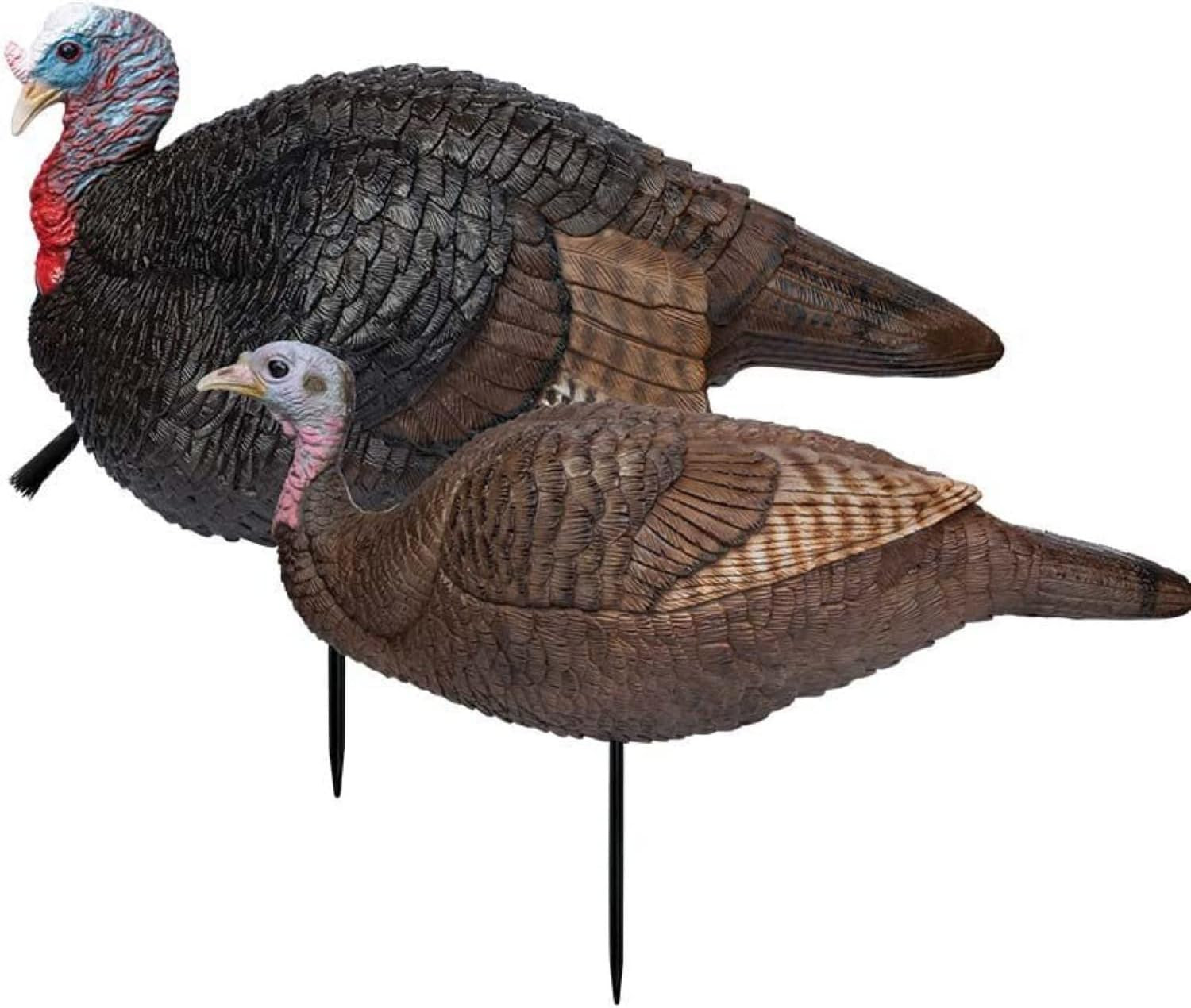 Hunting Turkey Decoy - Lil Gobstopper Hen and Jake Combo, Lightweight, Collapsib