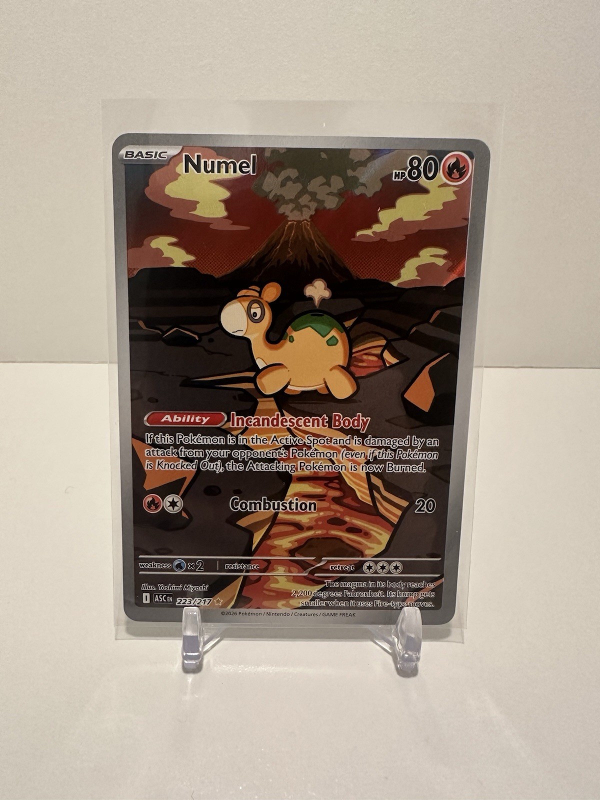 Numel 223/217 Illustration Rare Mega Evolution: Ascended Heroes Pokemon TCG 
