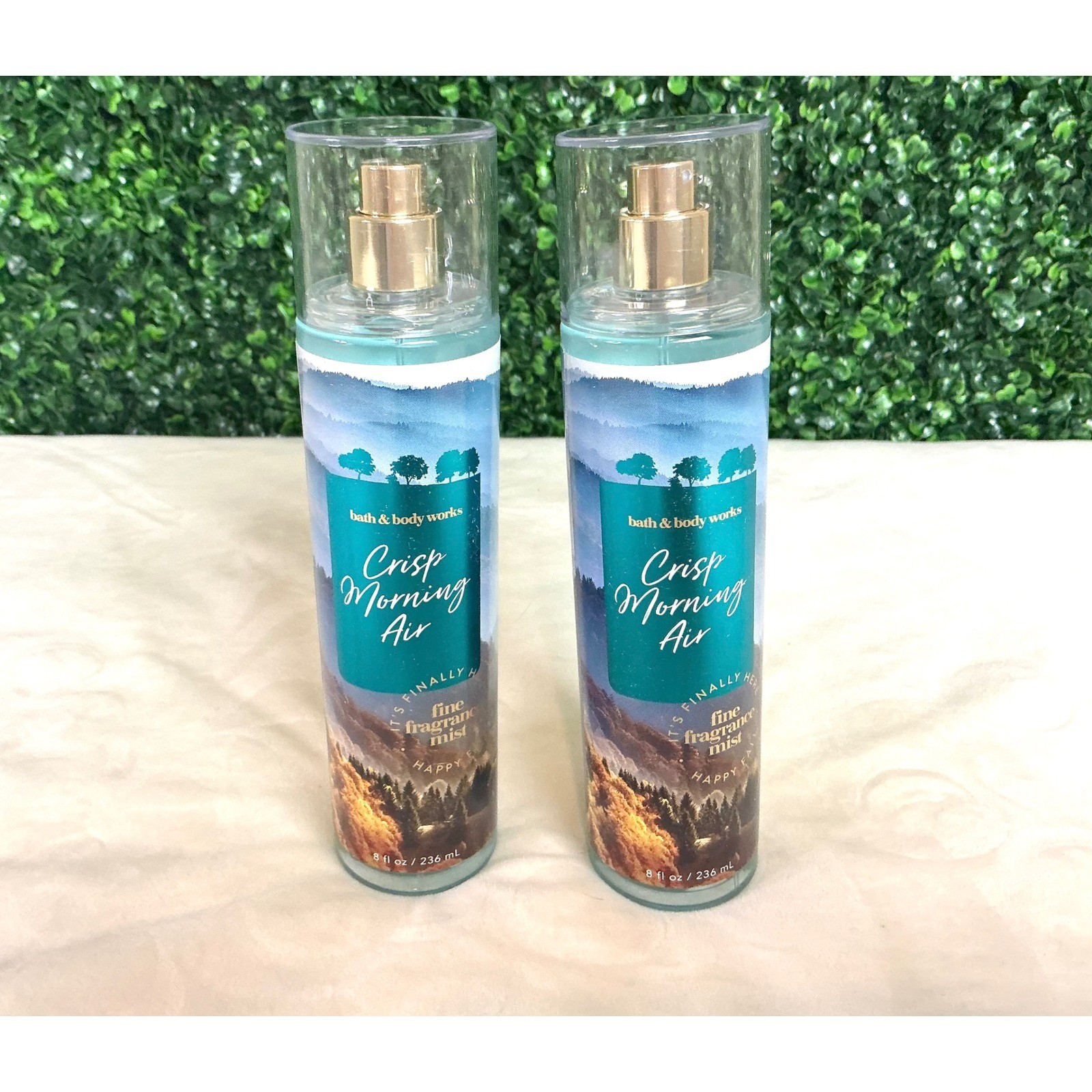 Bath & Body Works Crisp Morning Air Fine Fragrance Mist 8 fl oz