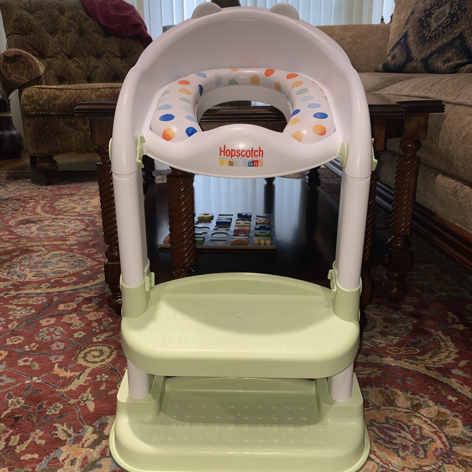 Hopscotch Lane Frog Raised Potty Toddler Toilet Seat with Ladder