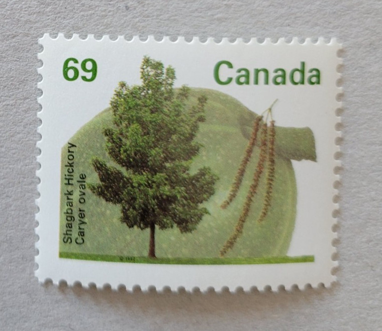 canada stamp #1369 - Shagbark Hickory (1994) 69¢ MNH OG