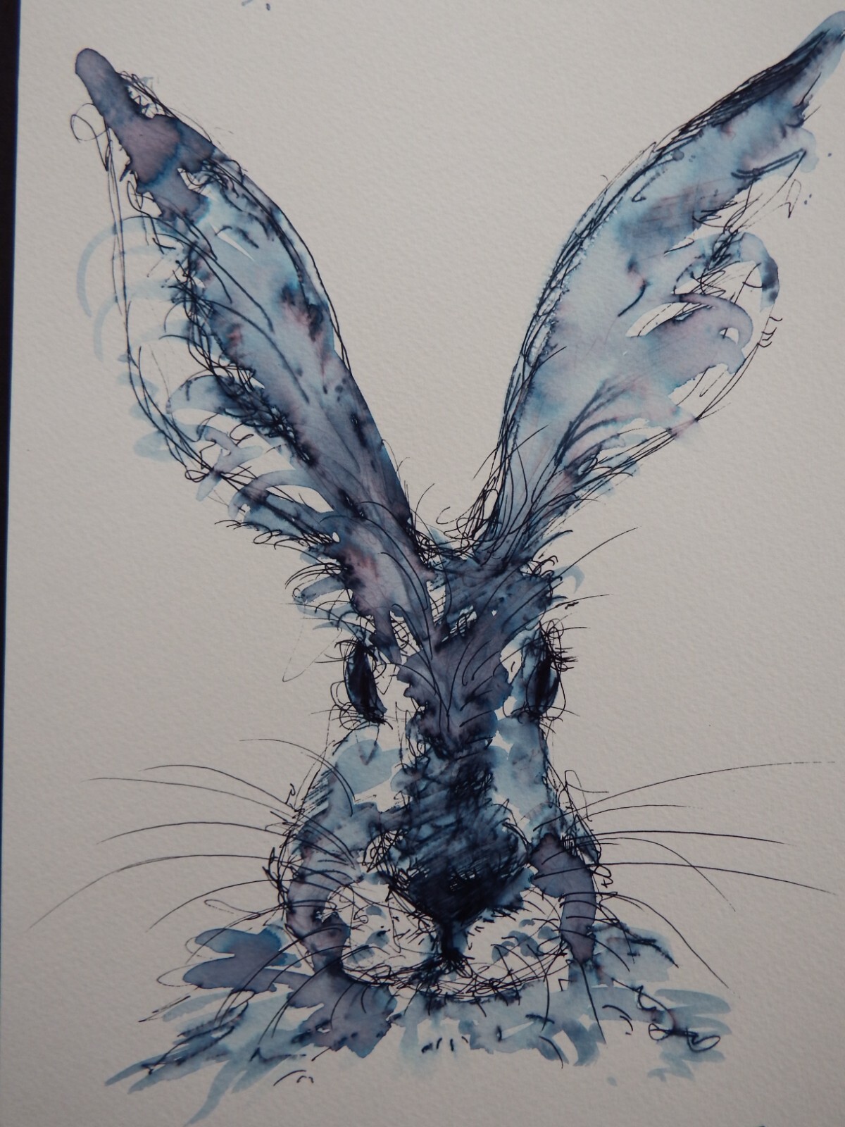 Ink drawing hare on watercolour paper