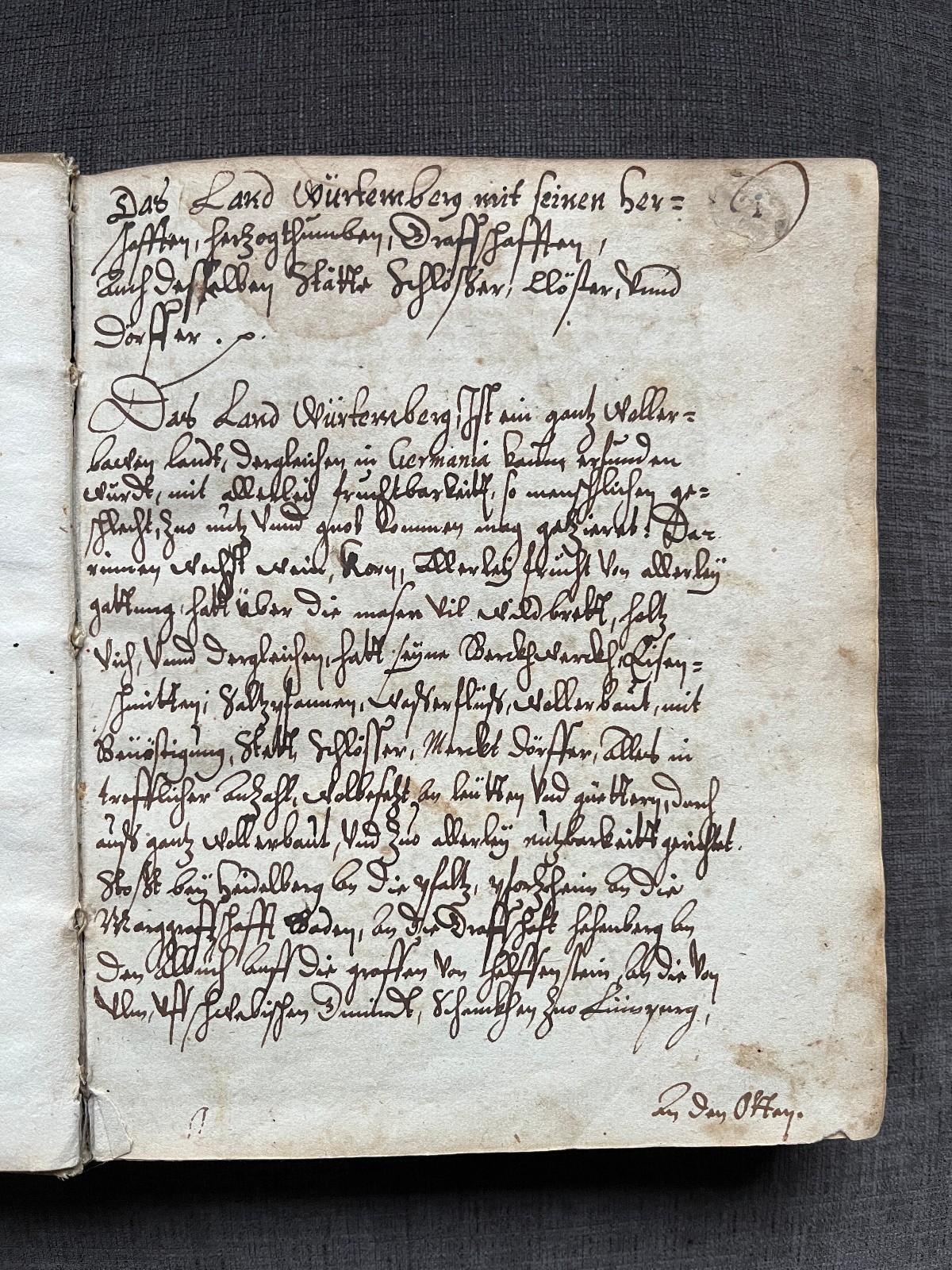 Würtemberg Chronicle - Rare Handwritten Manuscript Germany -  Vellum 16th