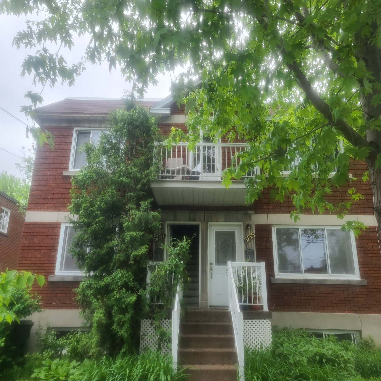 room for rent NDG CoteStLuc Loyola