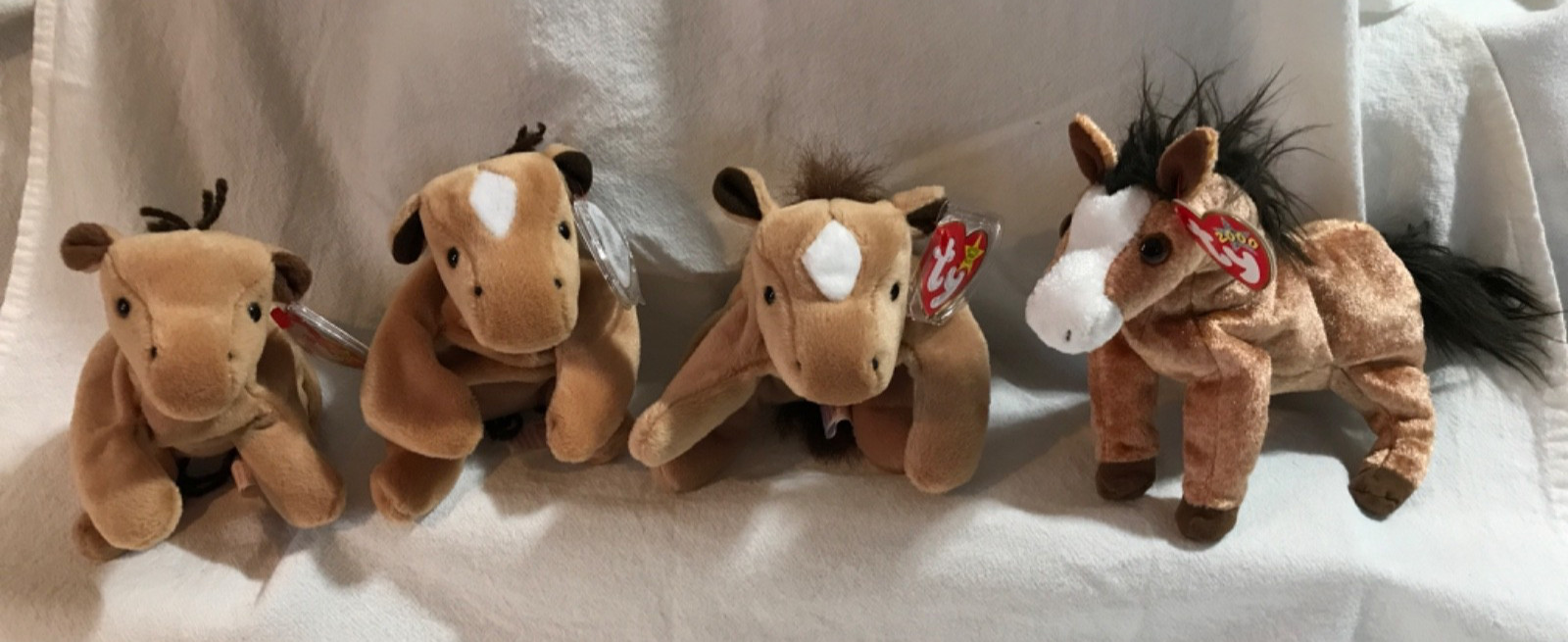 Ty Beanie Babies 1995 Derby the Horse 3 different & 2000 Oats LOT of 4 NEW