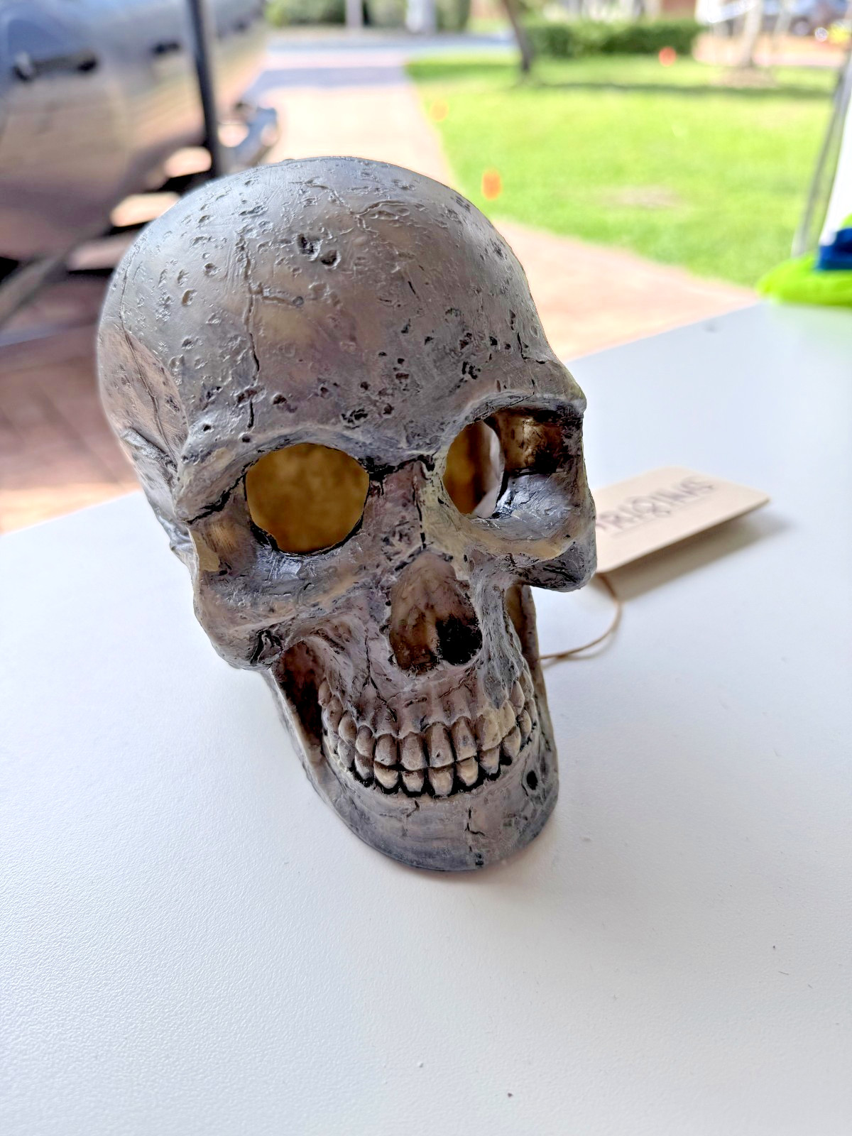 Human skull  Aquarium Ornament Fish Tank Decor