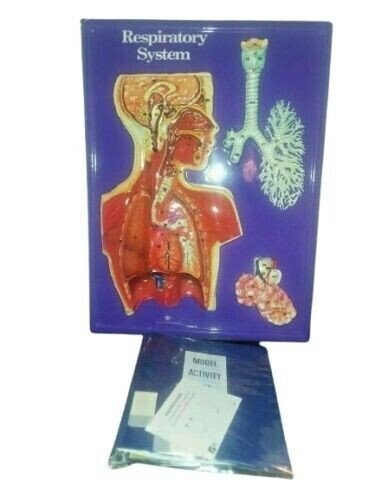 Hubbard Scientific 3D 3 Dimensional Plastic Chart Respiratory System Kit