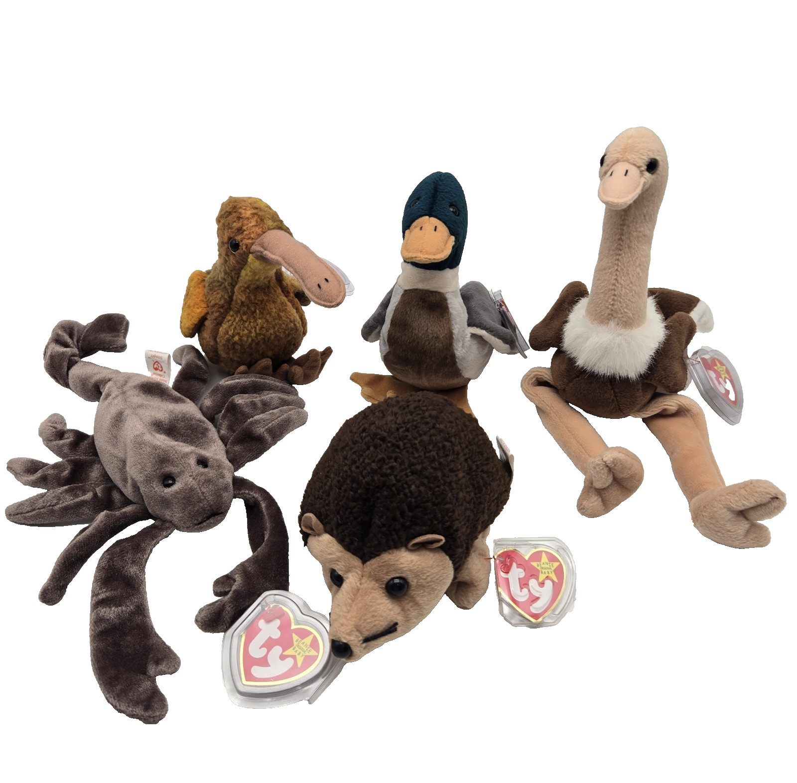 TY BEANIE BABIES Lot of 5 Vintage Collectible Hang Tag Protectors Included