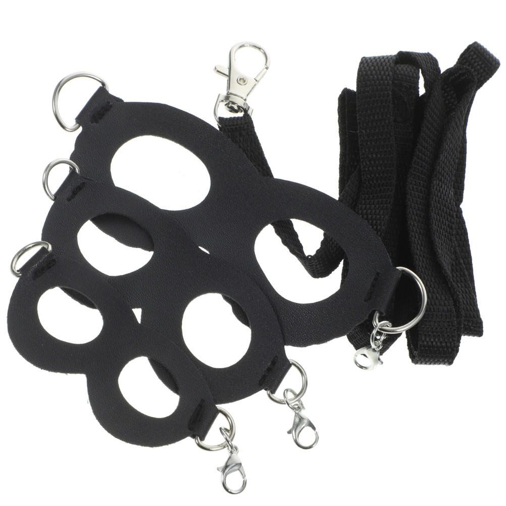 Bearded Dragon Decor Lizard Leash and Harness Set Leashes Harnesses for