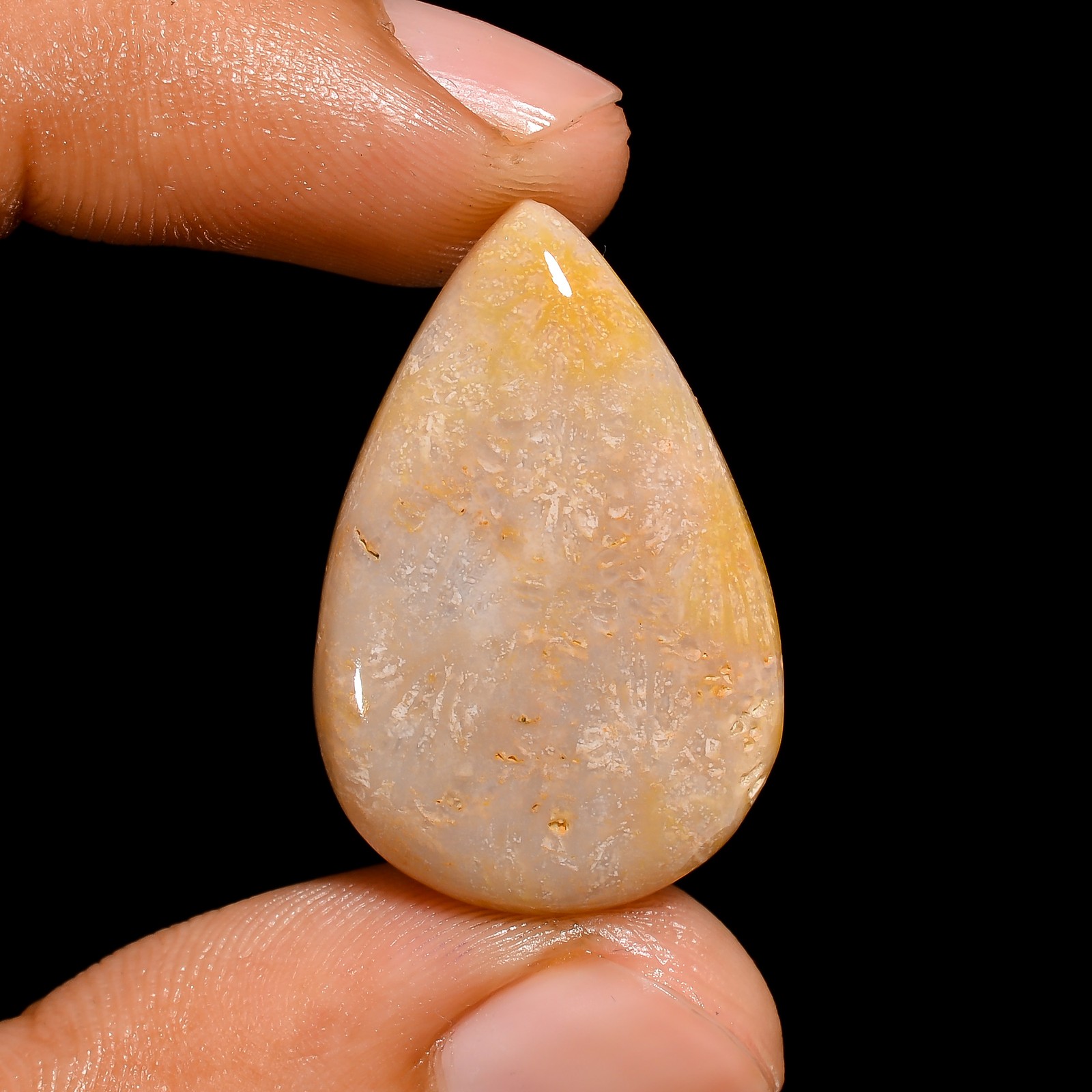 Natural Fossil Coral Pear Shape Cabochon Loose Gemstone 20.5 Ct 28X19X5mm A-1787
