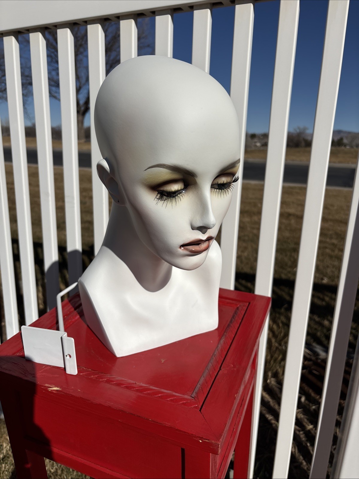 Female Mannequin Head for Wig Training and Display Hat Stand Holder
