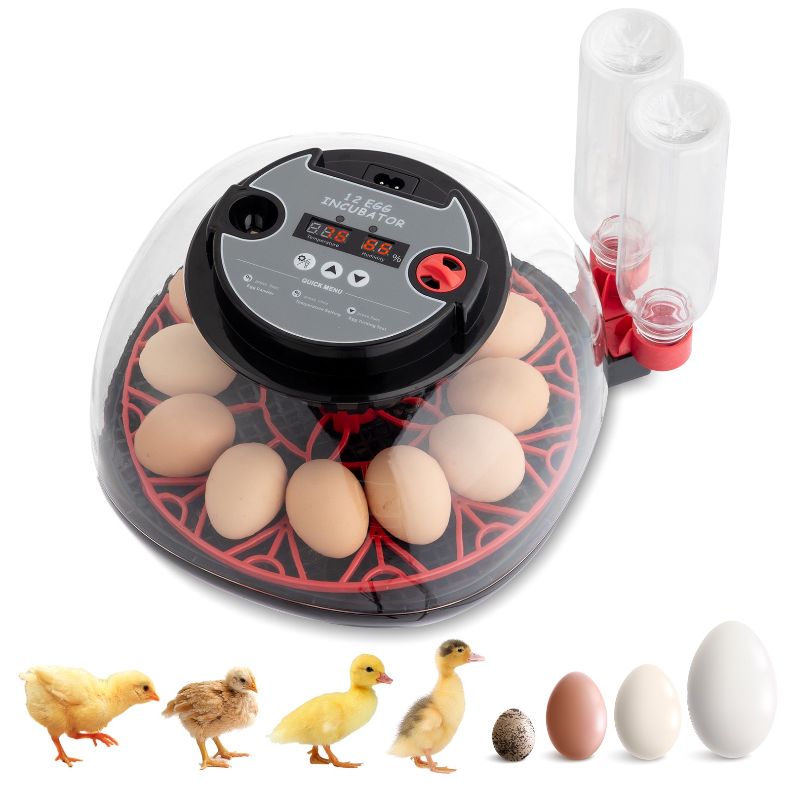 12 Egg Incubator with Automatic Turning, Humidity Control, LED Egg Candler