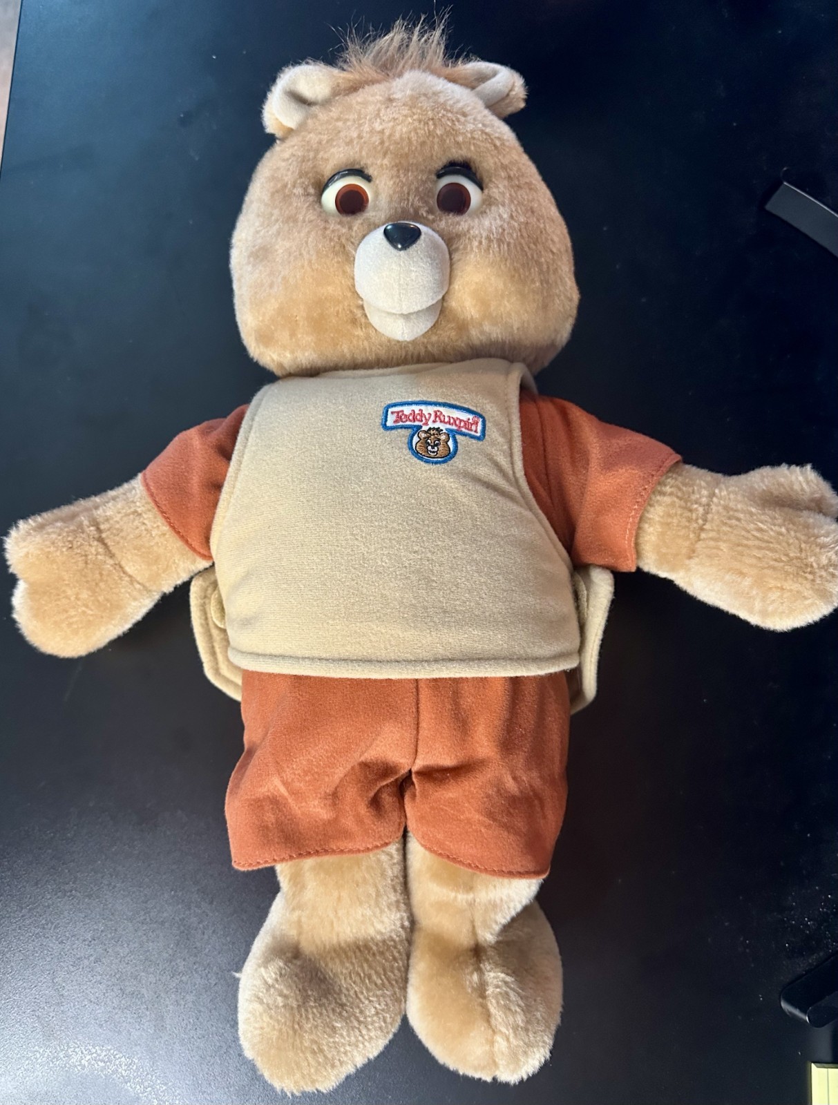 Teddy Ruxpin 2006 Plush Bear Untested - No Cartridges/Books