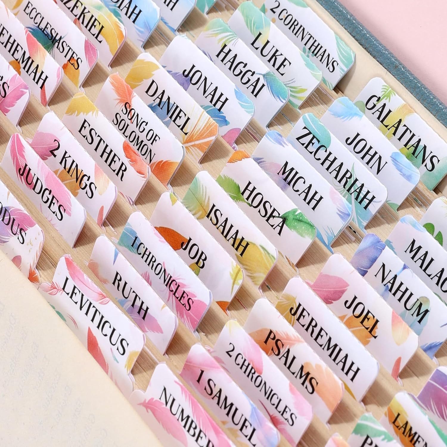 Bible Tabs for Women, 66 Large Print Laminated Bibles Chapters Index Tabs and 39