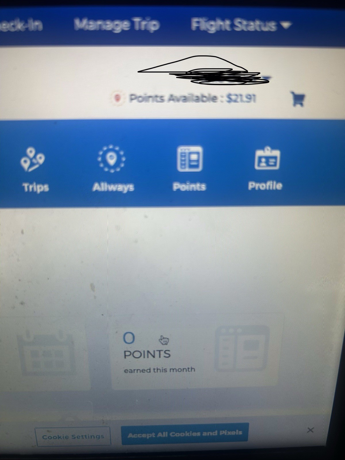 Travel Rewards Points Balance Screenshot Showing $21.91 Available for Reference