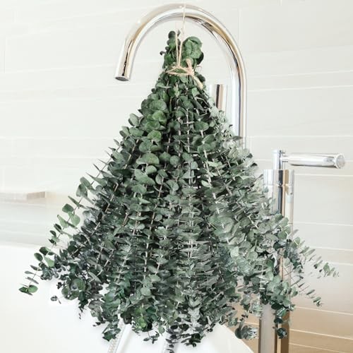 Dried Eucalyptus for Shower Hanging - 17'' Real Large Preserved 36 PCS