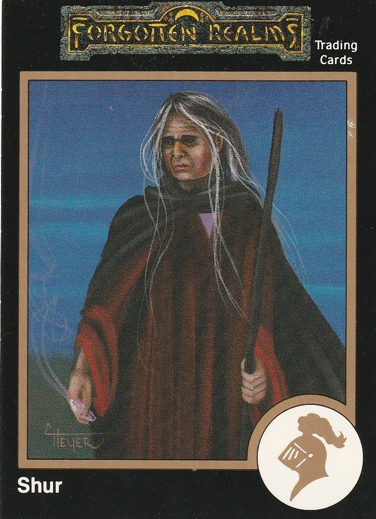 1992 ADVANCED DUNGEONS & DRAGONS 2ND EDITION SINGLE TRADING CARD #544 SHUR