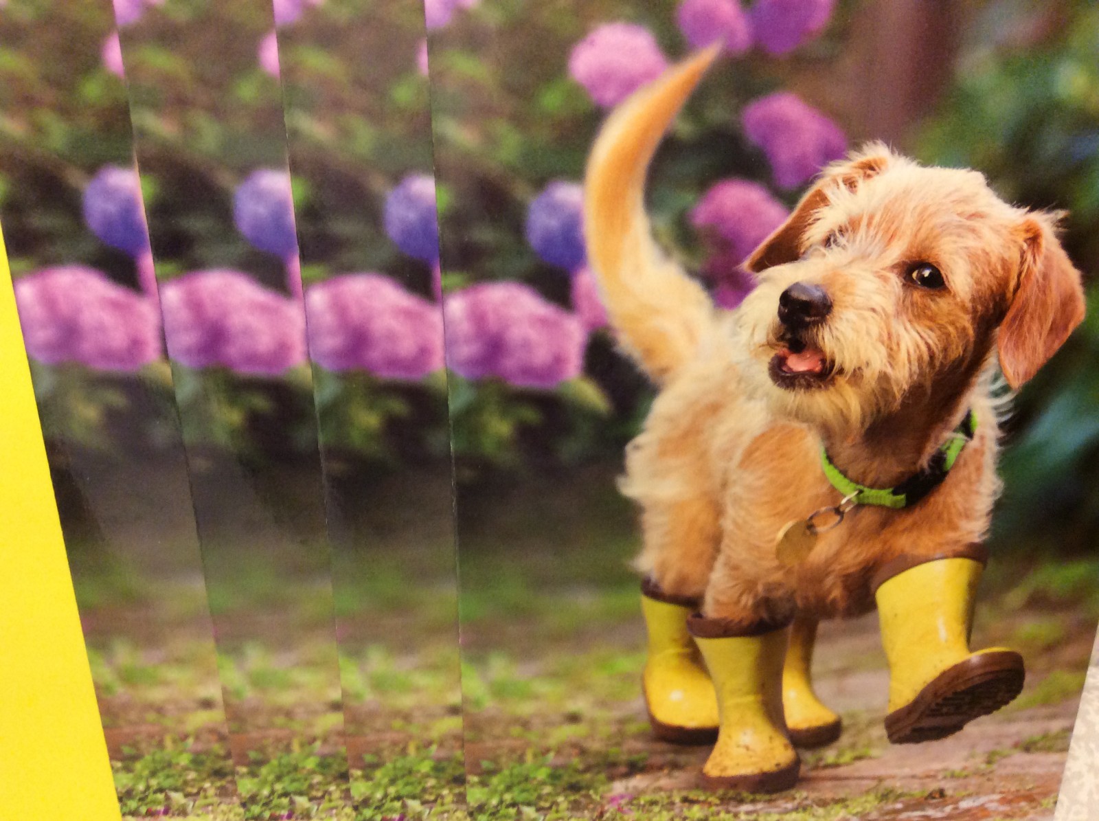 FRIENDSHIP AVANTI GREETING CARDS New w/envelopes LOT 4 "SENDING YOU SUNSHINE..."